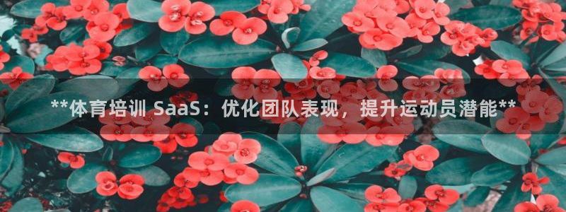 富联娱乐官方网站下载安装：**体育培训 SaaS：优