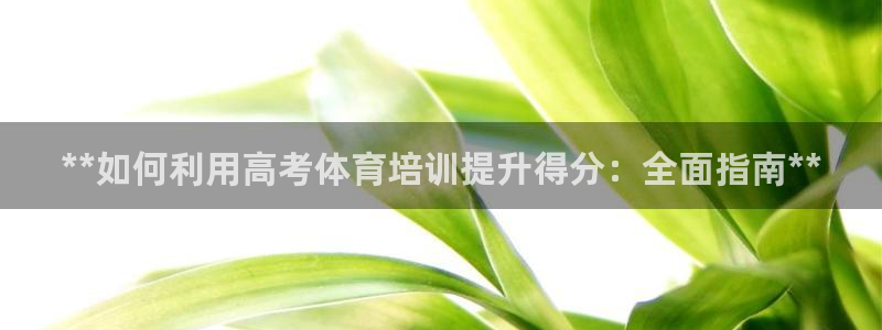 富联平台总代理电话：**如何利用高考体育培训提升得分