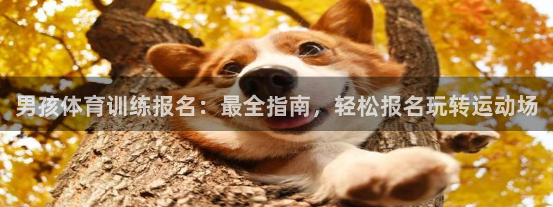 富联娱乐怎么样可靠吗：男孩体育训练报名：最全指南，轻