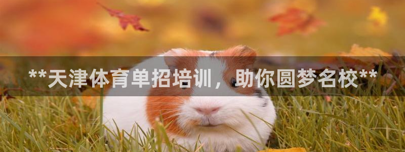 富联娱乐律7O777：**天津体育单招培训，助你圆梦