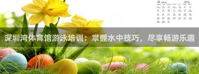 富联芯科技：深圳湾体育馆游泳培训：掌握水中技巧，尽享