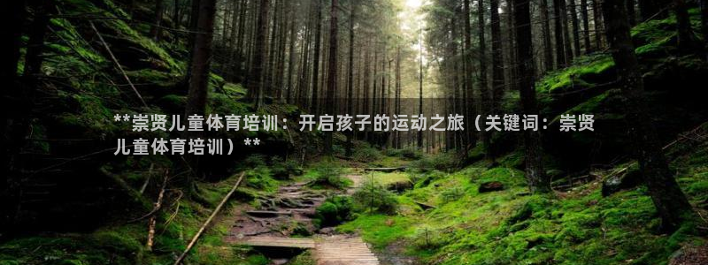 香港富联集团：**崇贤儿童体育培训：开启孩子的运动之