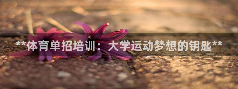 富联平台线路检测中心怎么样：**体育单招培训：大学运