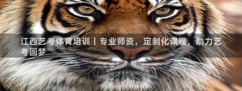 富联申购上市价格预测最新：江西艺考体育培训｜专业师资