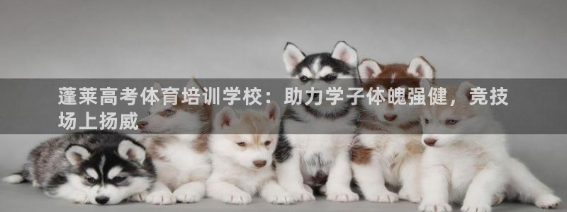 富联平台微信怎么注销：蓬莱高考体育培训学校：助力学子