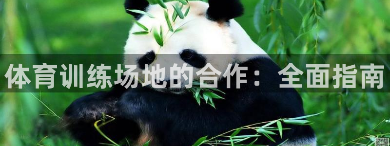 富联平台开户条件：体育训练场地的合作：全面指南