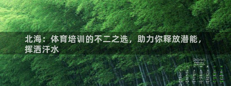 富联芯科技：北海：体育培训的不二之选，助力你释放潜能