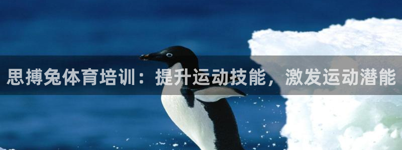 富联娱乐访问：思搏兔体育培训：提升运动技能，激发运动