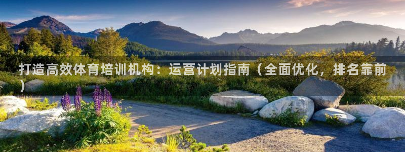 富联娱乐老板：打造高效体育培训机构：运营计划指南（全