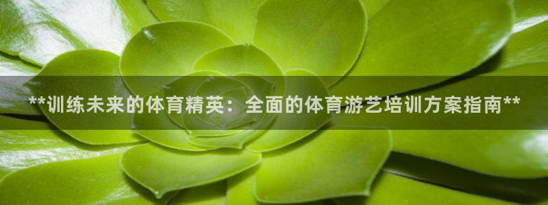 富联娱乐登录注册入口官网网址查询：**训练未来的体育