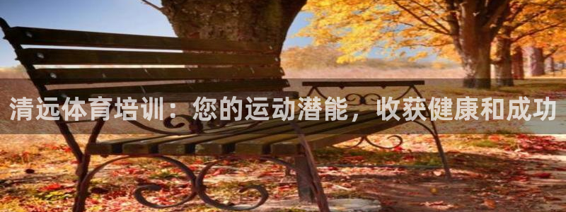 富联官方网站下载app：清远体育培训：您的运动潜能，