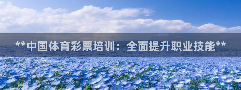 富联平台开户佣金多少：**中国体育彩票培训：全面提升