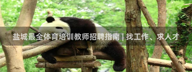 富联公寓：盐城最全体育培训教师招聘指南 | 找工作、