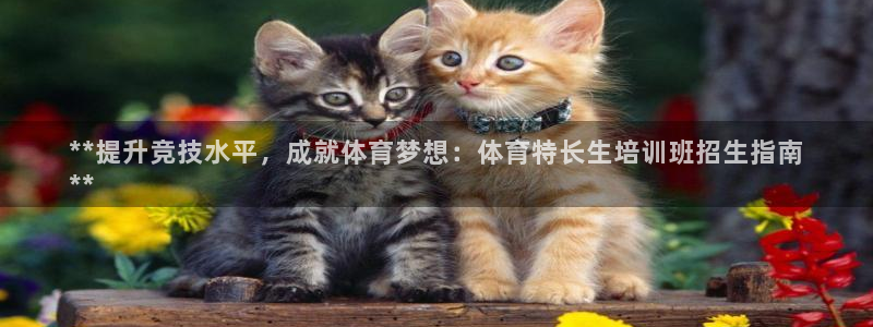 富联官方网站入口网址：**提升竞技水平，成就体育梦想