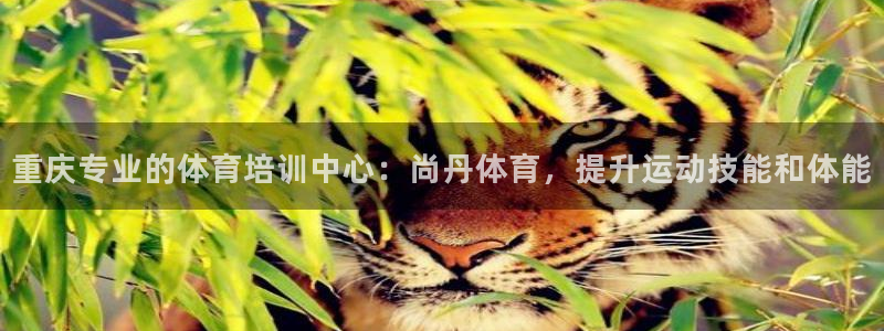 富联平台主管：重庆专业的体育培训中心：尚丹体育，提升