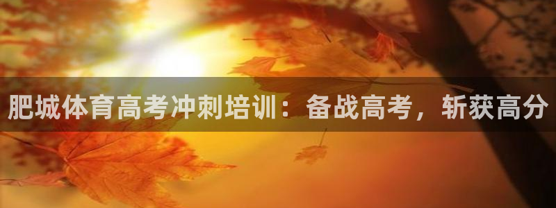 富联平台强 3.7.oo.7.3.5：肥城体育高考冲