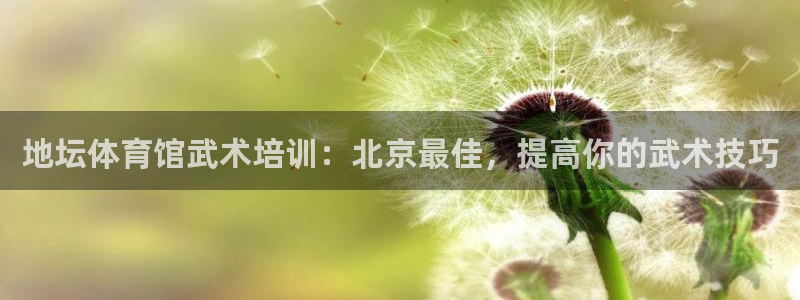 富联平台是什么平台：地坛体育馆武术培训：北京最佳，提