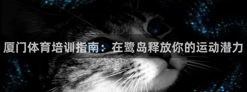 富联平台飞 411o31 富联：厦门体育培训指南：在
