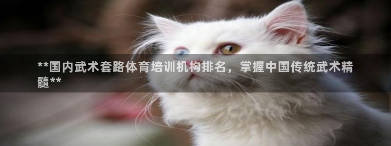 富联娱乐登录注册入口官网：**国内武术套路体育培训机