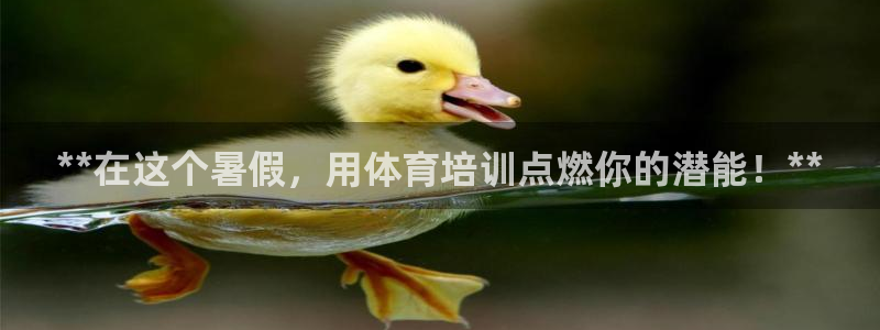 富联平台总代理电话：**在这个暑假，用体育培训点燃你