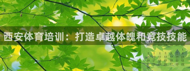 富联娱乐是真的吗：西安体育培训：打造卓越体魄和竞技技
