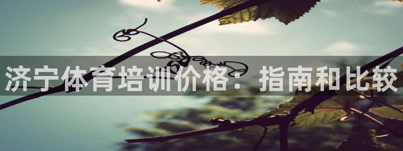 富联丰地产怎么样：济宁体育培训价格：指南和比较