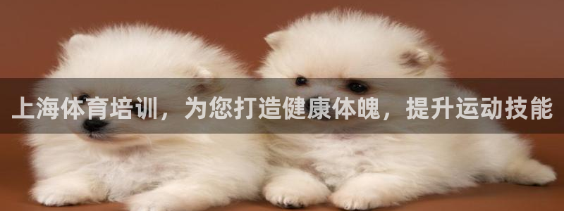 富联丰地产交易平台：上海体育培训，为您打造健康体魄，