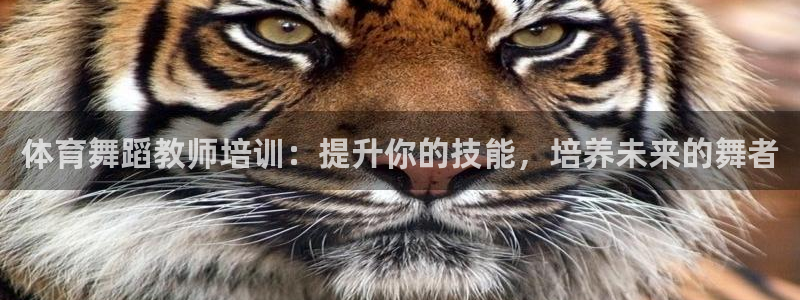 富联娱乐客户端app下载服务器：体育舞蹈教师培训：提