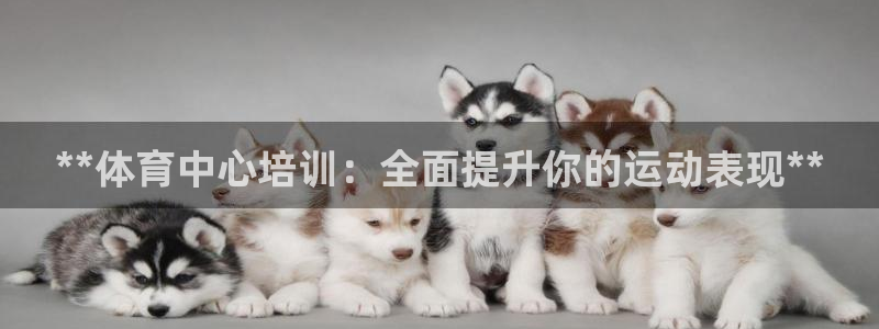 富联官网注册：**体育中心培训：全面提升你的运动表现