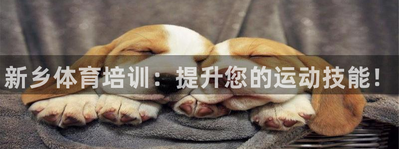富联娱乐登录注册入口官网下载手机版：新乡体育培训：提
