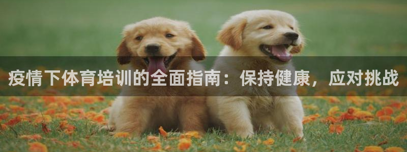 富联平台辉 411o31 富联：疫情下体育培训的全面