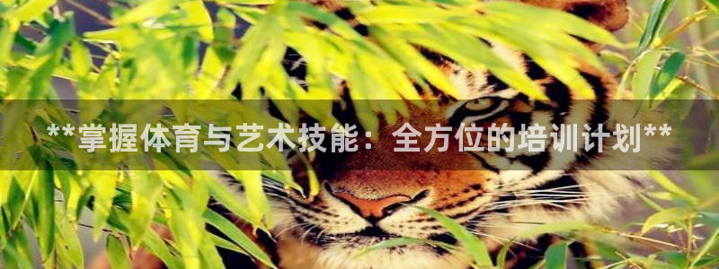 富联娱乐噢 411O31 富联：**掌握体育与艺术技