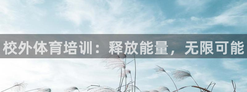 富联娱乐总代理：校外体育培训：释放能量，无限可能