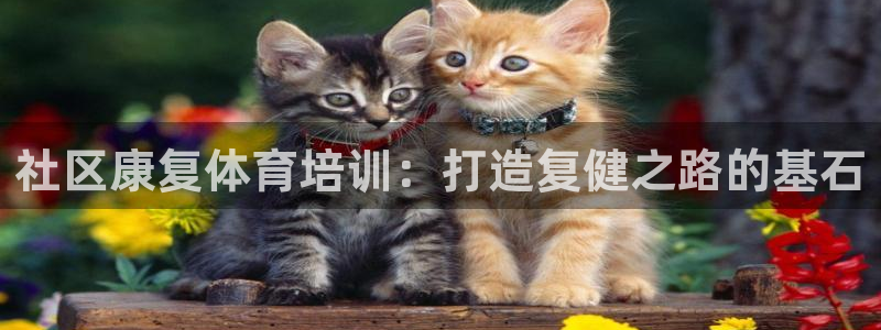 富联平台官网登录不了：社区康复体育培训：打造复健之路
