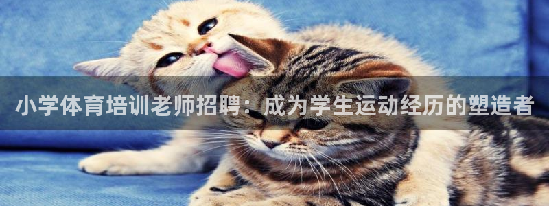 富联娱乐平台能挣到钱吗安全吗：小学体育培训老师招聘：