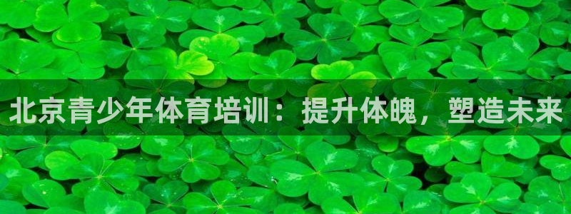 富联股份代码是多少：北京青少年体育培训：提升体魄，塑
