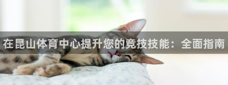 富联平台目 411O31 富联：在昆山体育中心提升您
