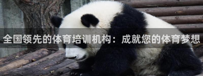 富联娱乐是什么时候开的：全国领先的体育培训机构：成就