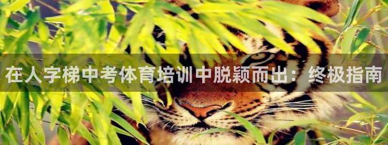 富联娱乐律7O777：在人字梯中考体育培训中脱颖而出