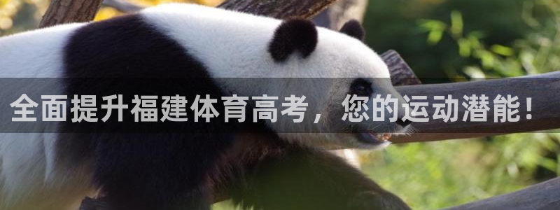 富联平台马 411O31 富联：全面提升福建体育高考