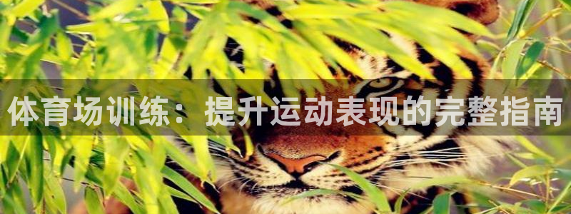 富联平台安装app：体育场训练：提升运动表现的完整指