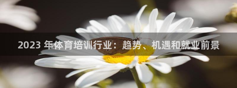 富联集团做什么的啊：2023 年体育培训行业：趋势、