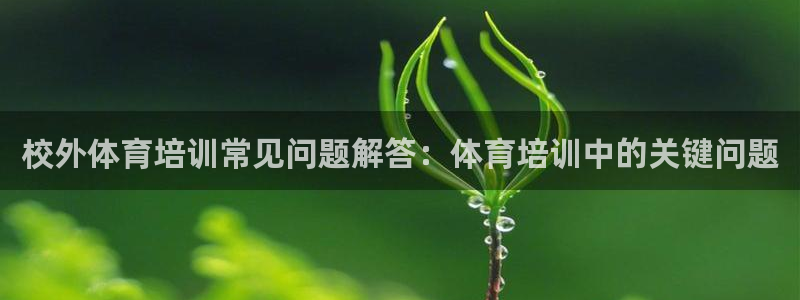 富联申购可以赚多少钱：校外体育培训常见问题解答：体育