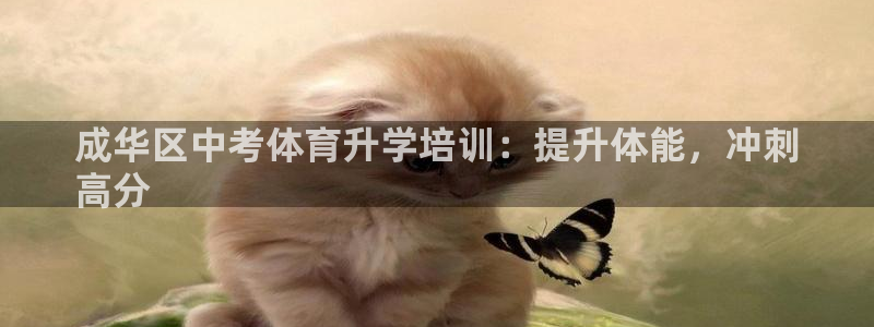 富联平台推 411031 富联：成华区中考体育升学培