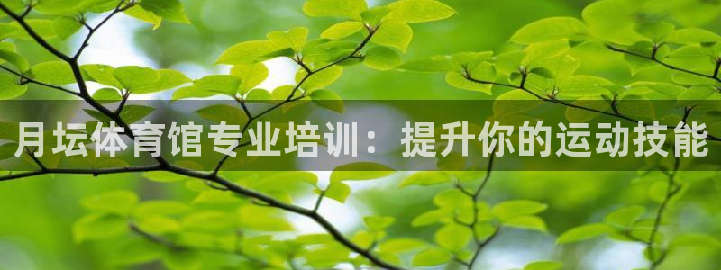 富联官网登录入口网址：月坛体育馆专业培训：提升你的运