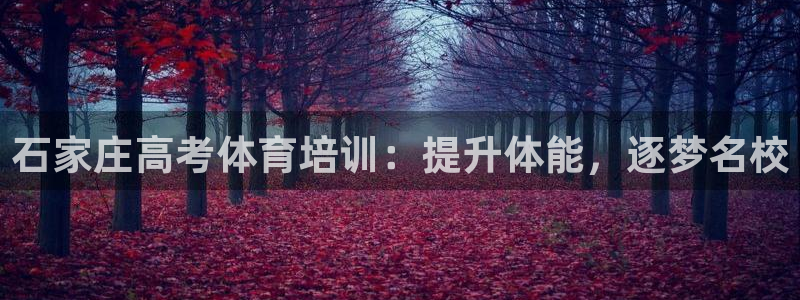 富联娱乐是什么时候开的店：石家庄高考体育培训：提升体