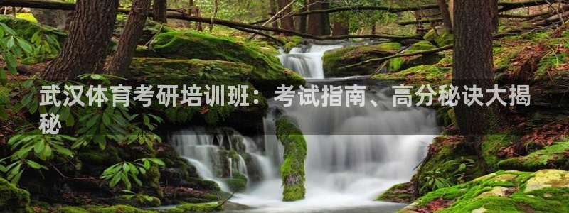 富联平台主管代理：武汉体育考研培训班：考试指南、高分