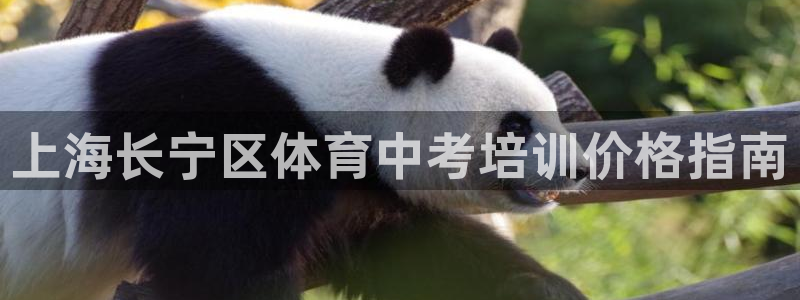 富联娱乐客服微信：上海长宁区体育中考培训价格指南