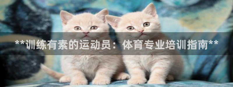 富联智能工坊：**训练有素的运动员：体育专业培训指南