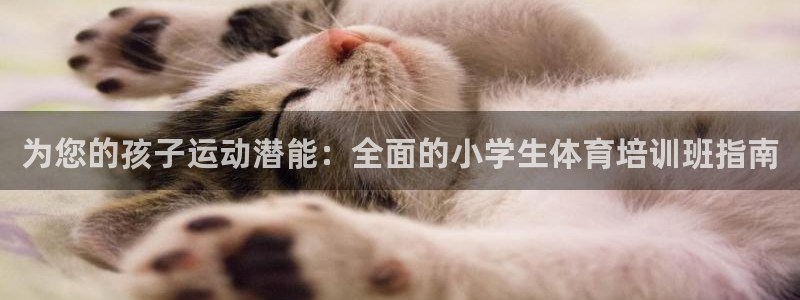 富联平台主管代理：为您的孩子运动潜能：全面的小学生体